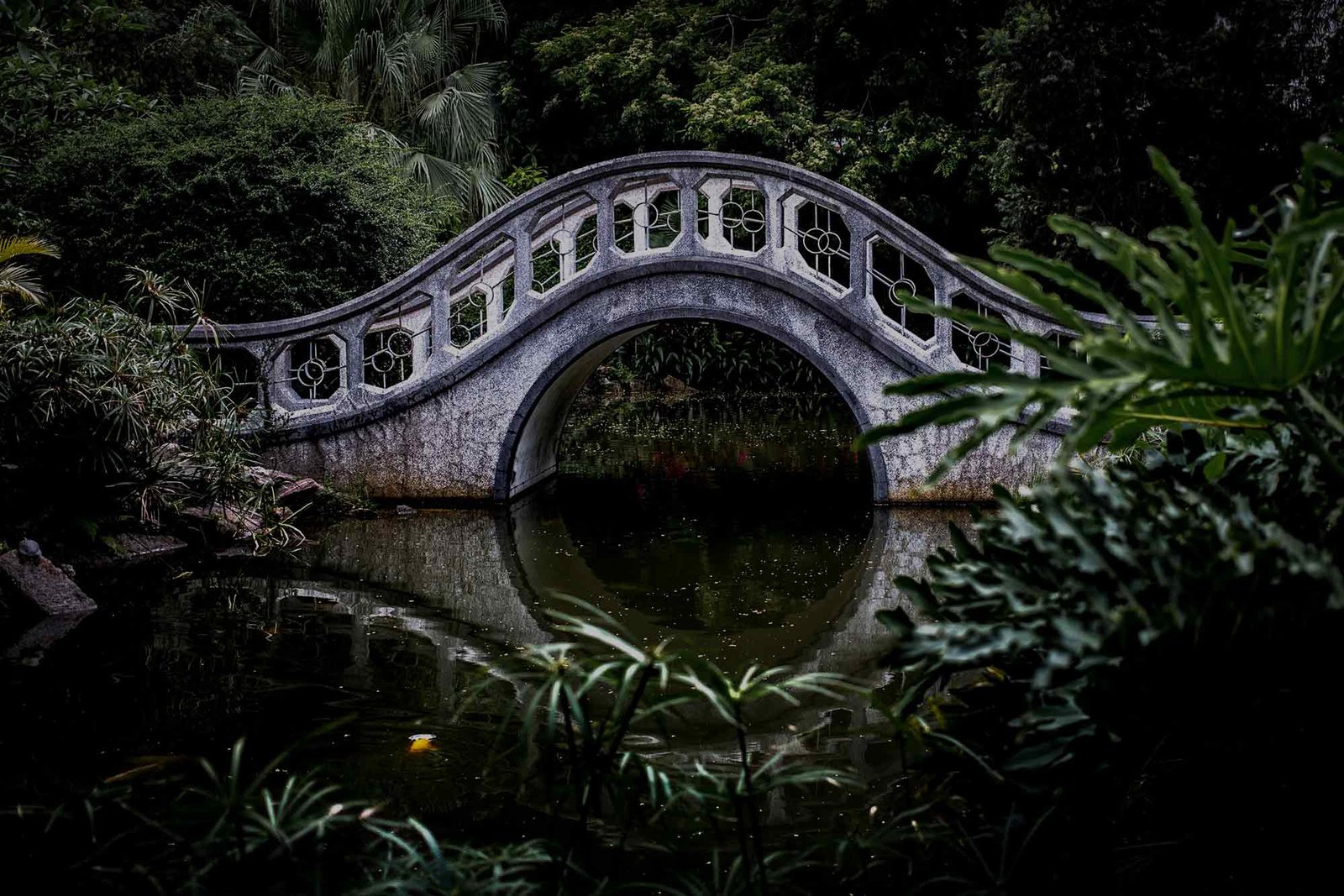 Bridge